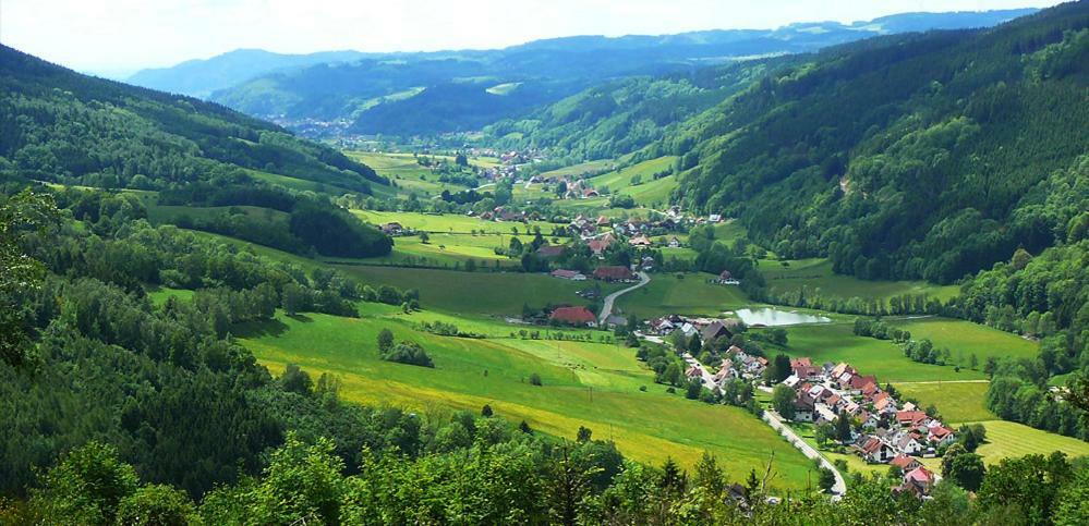 Apartamento Schwarzwaldhaus Elzach Exterior foto