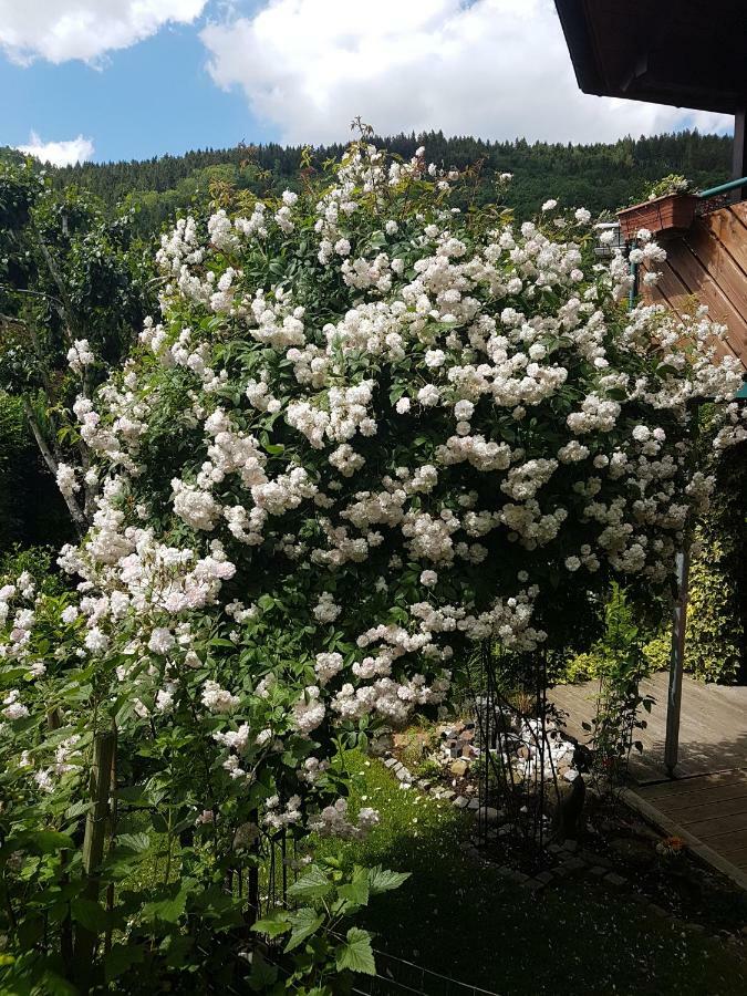 Apartamento Schwarzwaldhaus Elzach Exterior foto